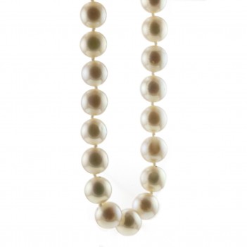 Collar de Perlas cultivadas